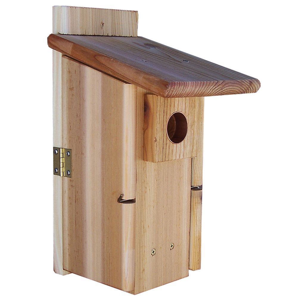 Stovall Ultimate Bluebird House