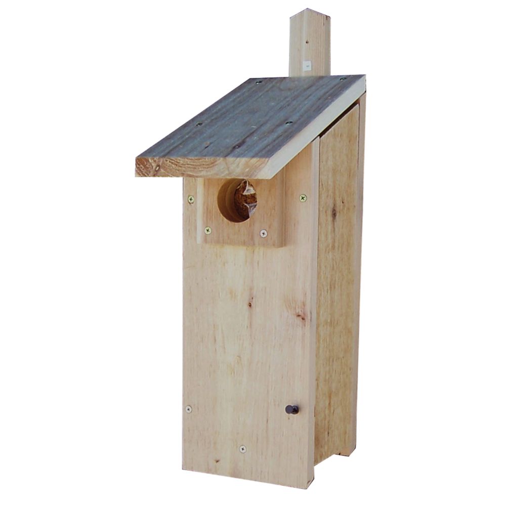 Stovall Woodpecker House