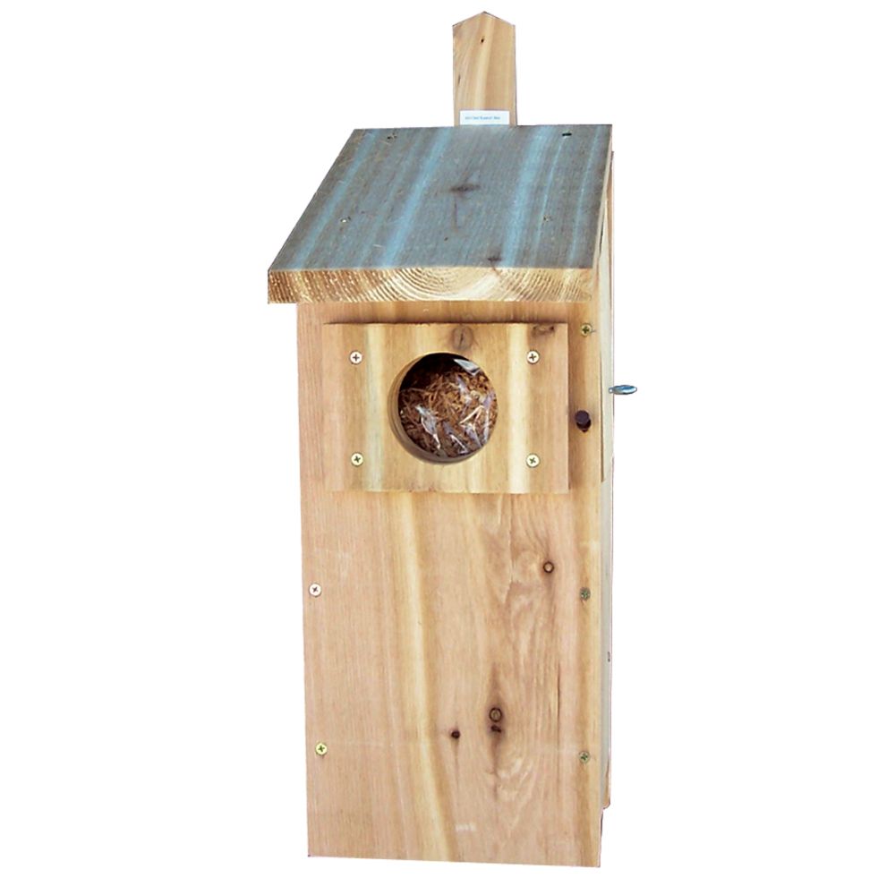 Stovall Screech Owl Box