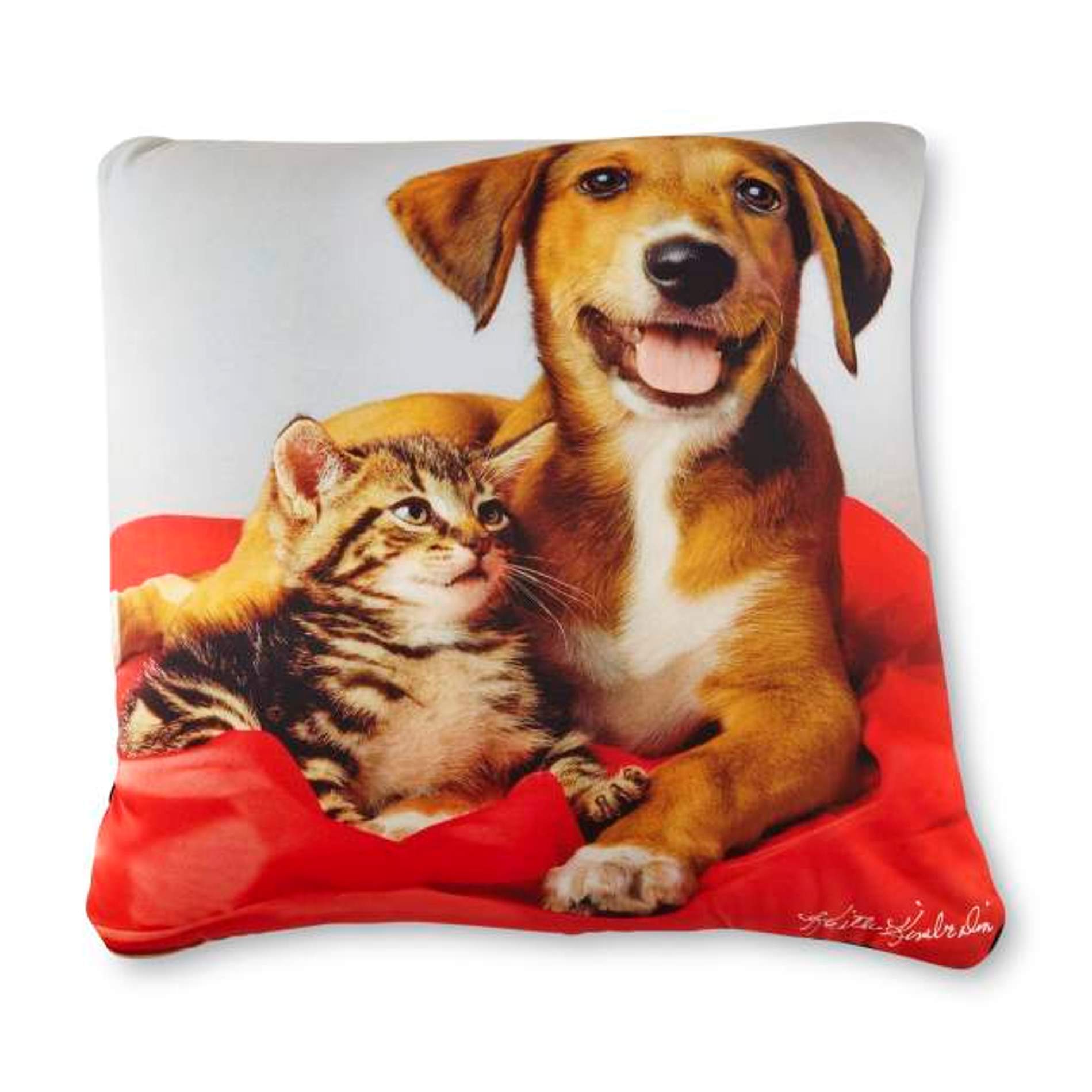Keith Kimberlin Pillow - Animal Friends