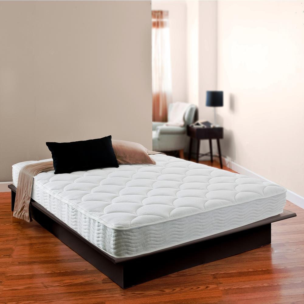 Night Therapy 8 Inch Coil Spring Queen Mattress Only