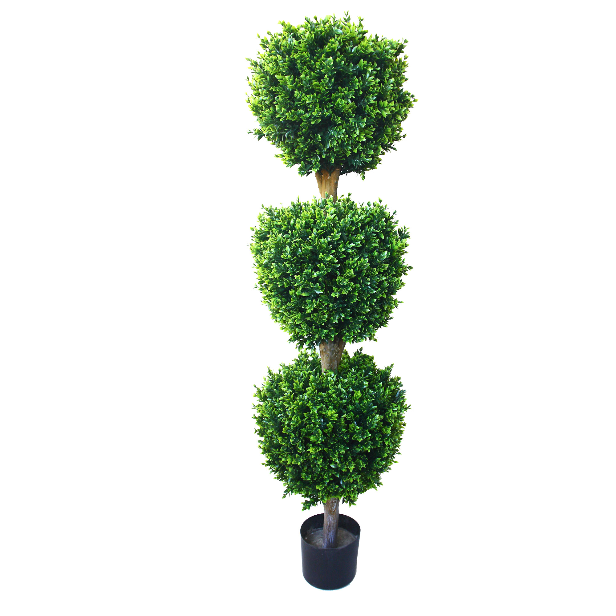 5' Romano Outdoor/Indoor Hedyotis Triple Ball Topiary Tree