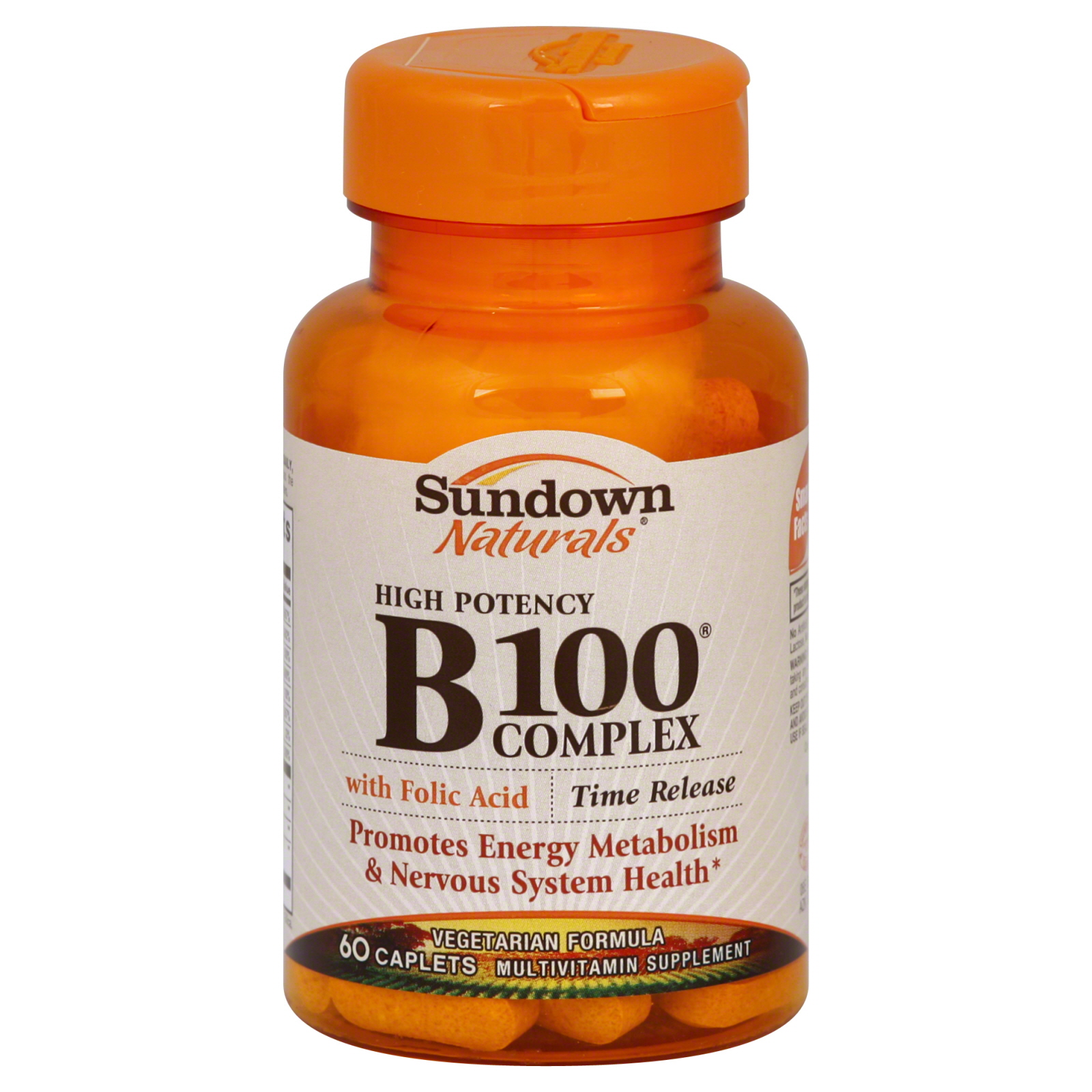 Sundown Naturals Vitamin B 100 Complex, High Potency, with Folic Acid, Caplets, 60 caplets