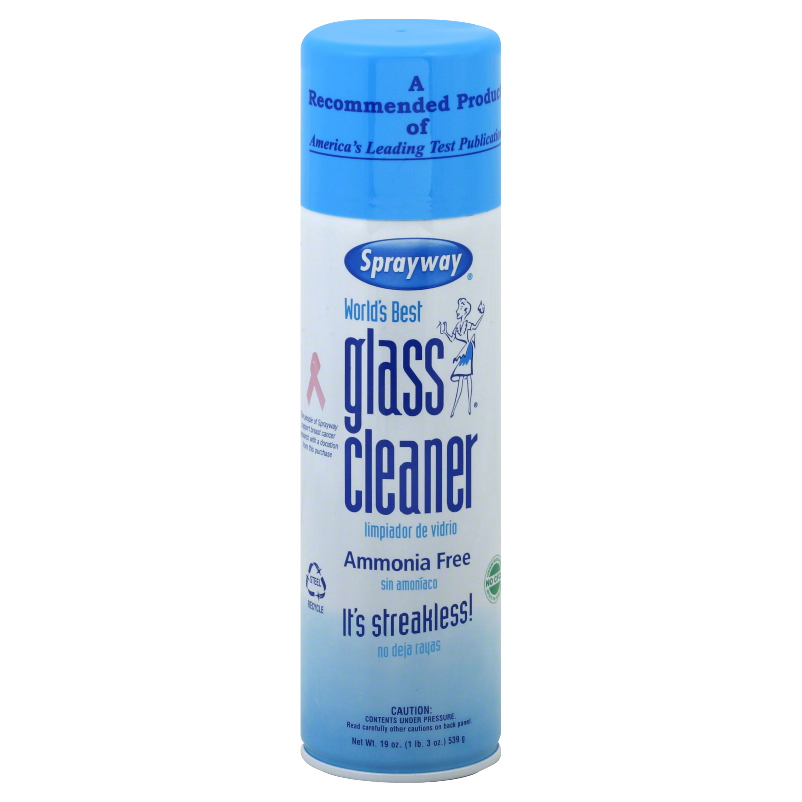 Sprayway Glass Cleaner - 19 oz