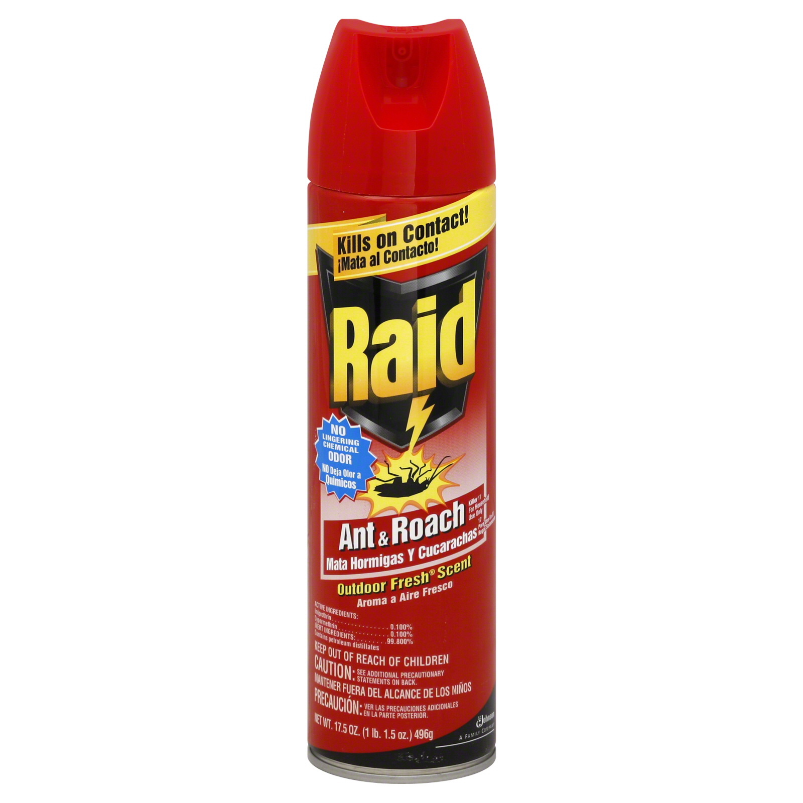 Raid Ant & Roach Killer 17, Outdoor Fresh Scent, 17.5 oz (1 lb 1.5 oz) 496 g