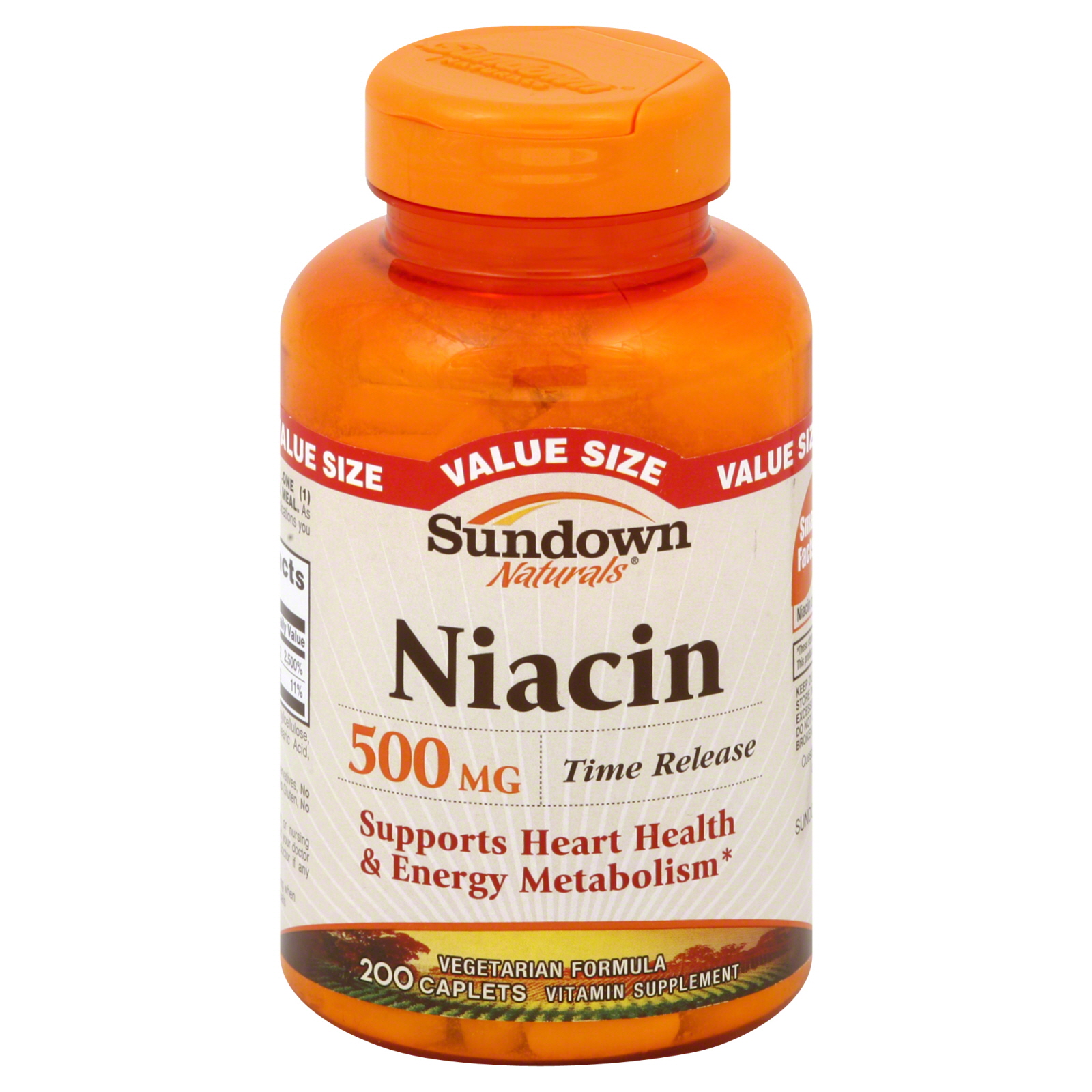 Sundown Niacin, 500 mg, Caplets, Value Size 200 caplets