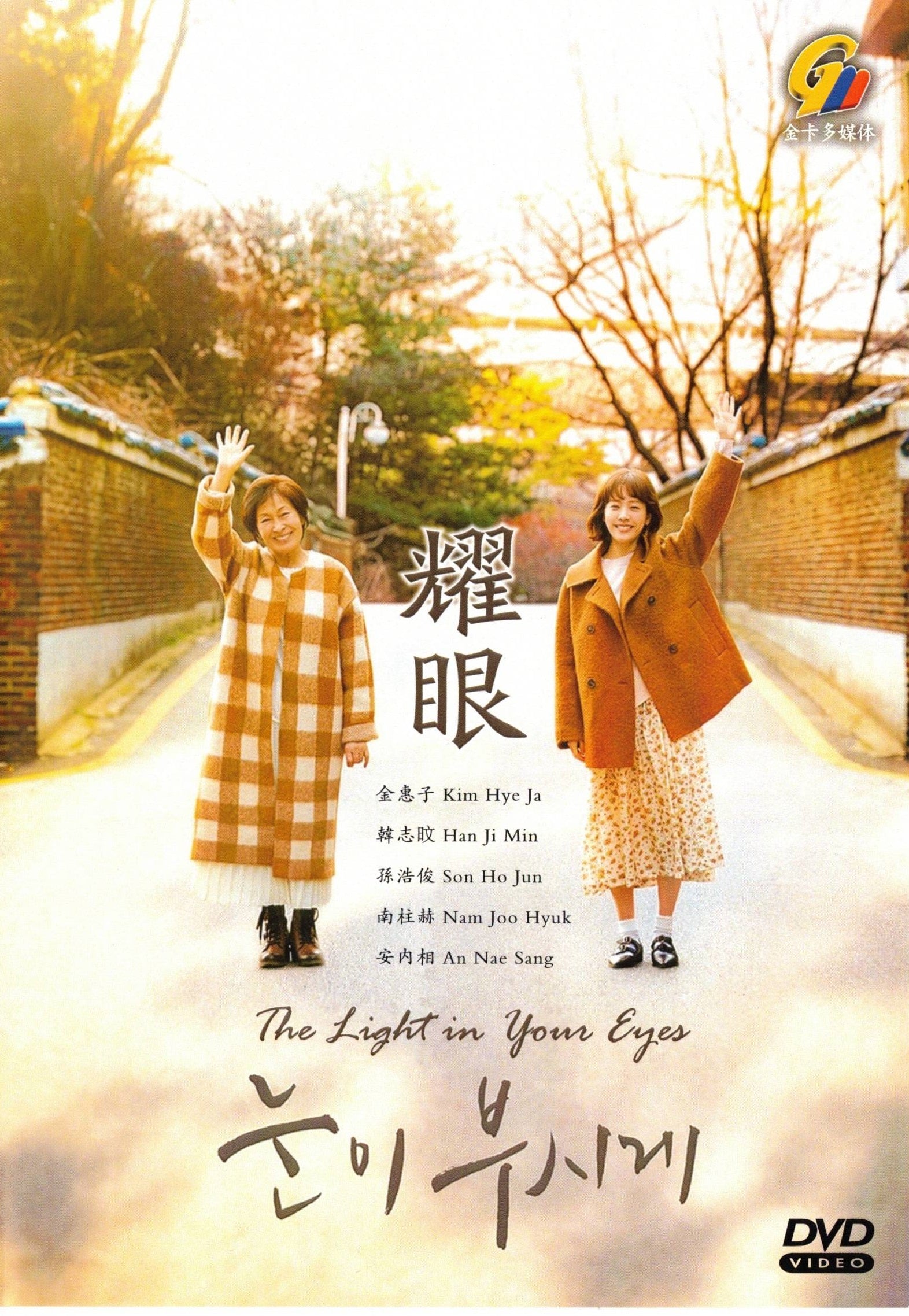 K - Drama DVD:  THE LIGHT IN YOUR EYES Korean Drama DVD - TV Series (NTSC)