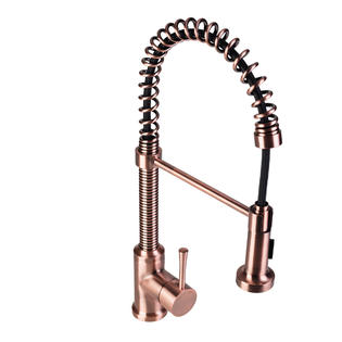 Fontainebyitalia Spring Coil Flat Spray Head Pull Down