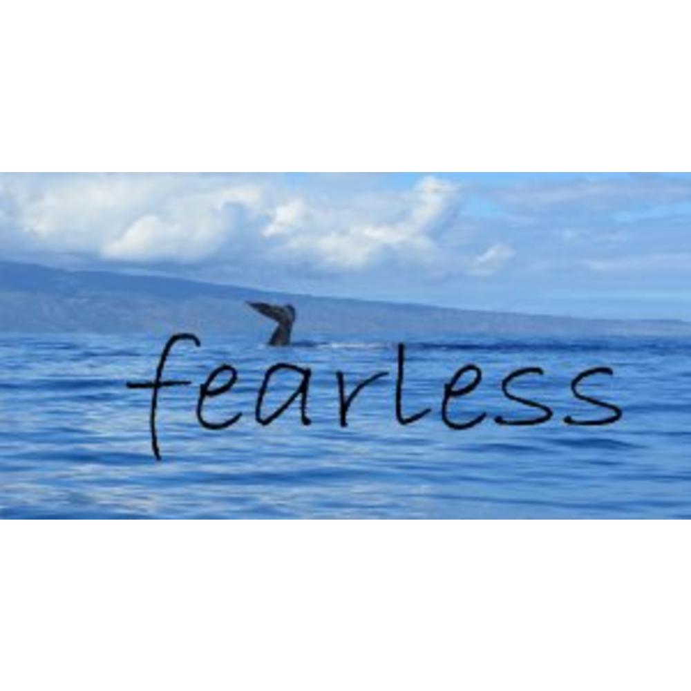 License Plates Online Fearless Whale Ocean Scene Photo License Plate