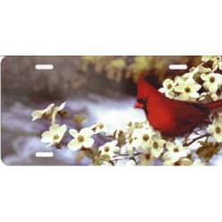 Smokey Mountain Cardinal Bird Airbrush License Plate