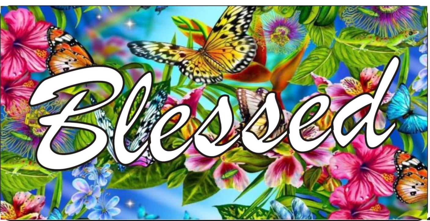 License Plates Online Blessed On Flowers And Butterflies Photo License Plate