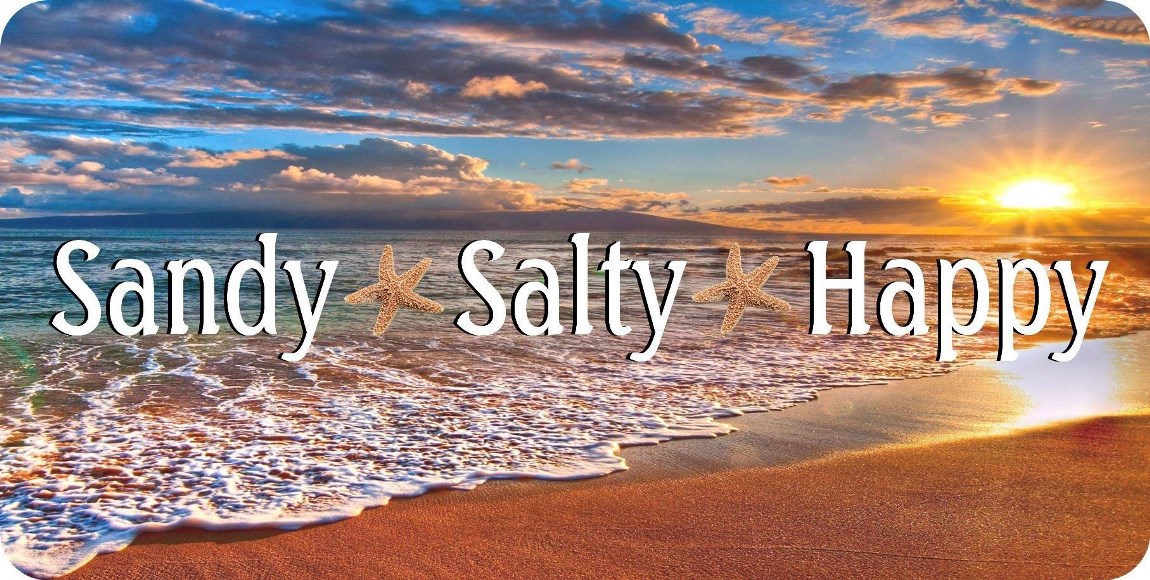 License Plates Online Sandy Salty Happy Photo License Plate