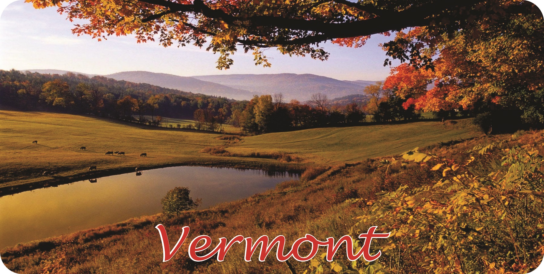 License Plates Online Vermont Scenery Photo License Plate