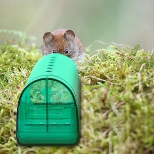 SKUSHOPS D0102HA9G6V-Green 2Pcs Reusable Humane Mouse Trap Live