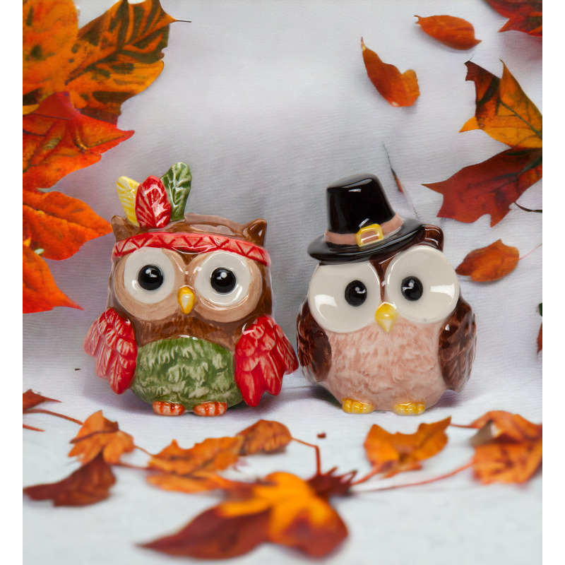 kevinsgiftshoppe Ceramic Pilgrim And Indian Owl Salt And Pepper Shakers, Gift for Her, Gift for Mom, Kitchen Décor, Fall Décor, Thanksgiving