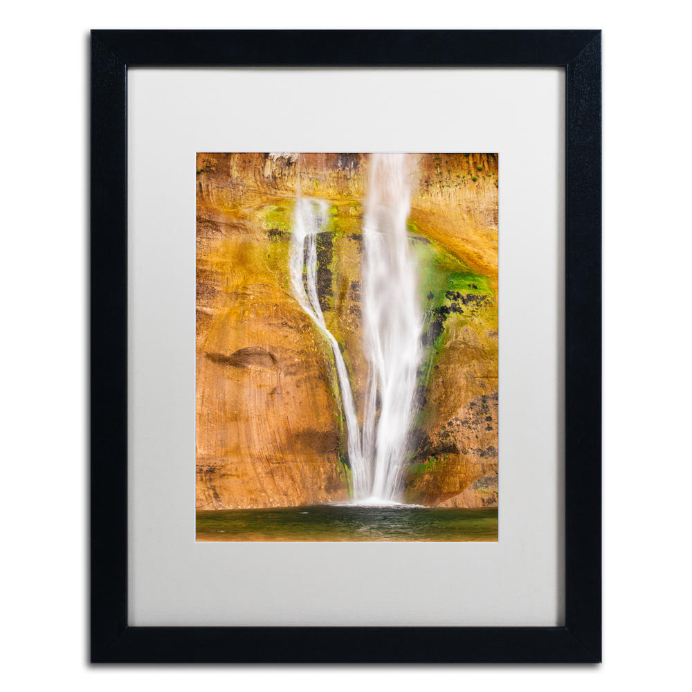 Trademark Global Michael Blanchette Photography Ribbons Black Wooden Framed Art 18 x 22 Inches