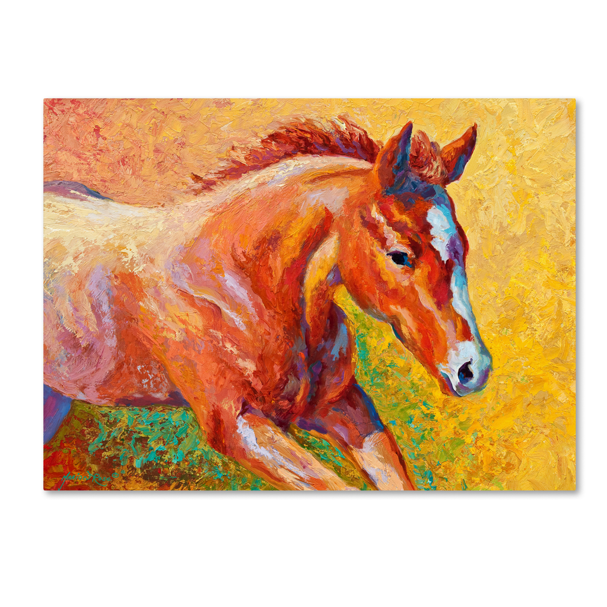 Trademark Global Marion Rose Sorrel Filly  Ready to Hang Canvas Art 18 x 24 Inches Made in USA