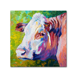 Trademark Global Marion Rose White Face Cow Ready to Hang Canvas Art 18 x 18 Inches Made in USA