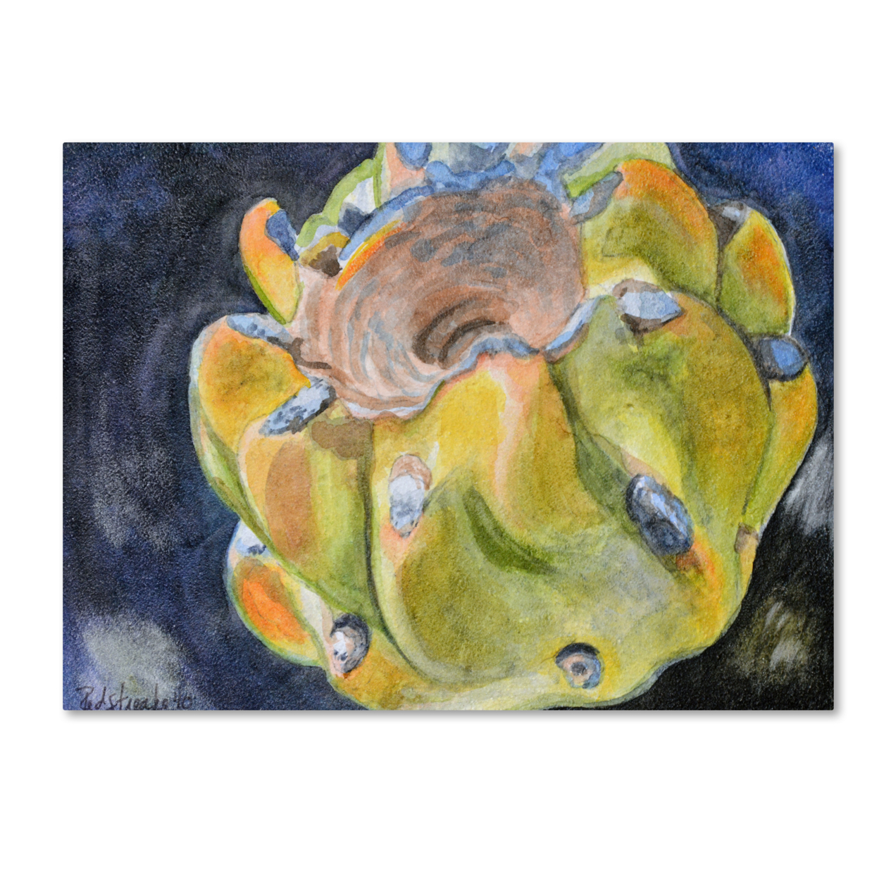 Trademark Global Jennifer Redstreake Cactus Fruit Canvas Art 18 x 24