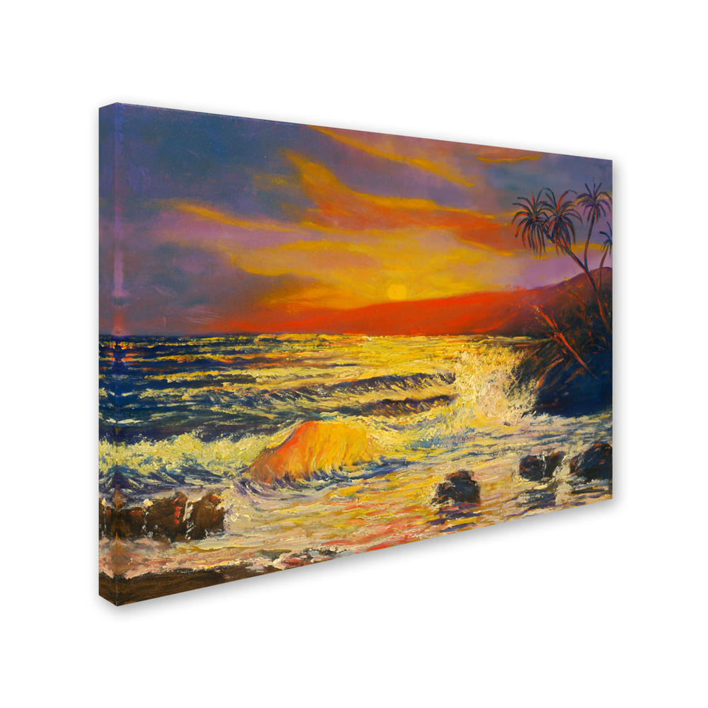 Trademark Global Manor Shadian Maui Sunset 14 x 19 Canvas Art