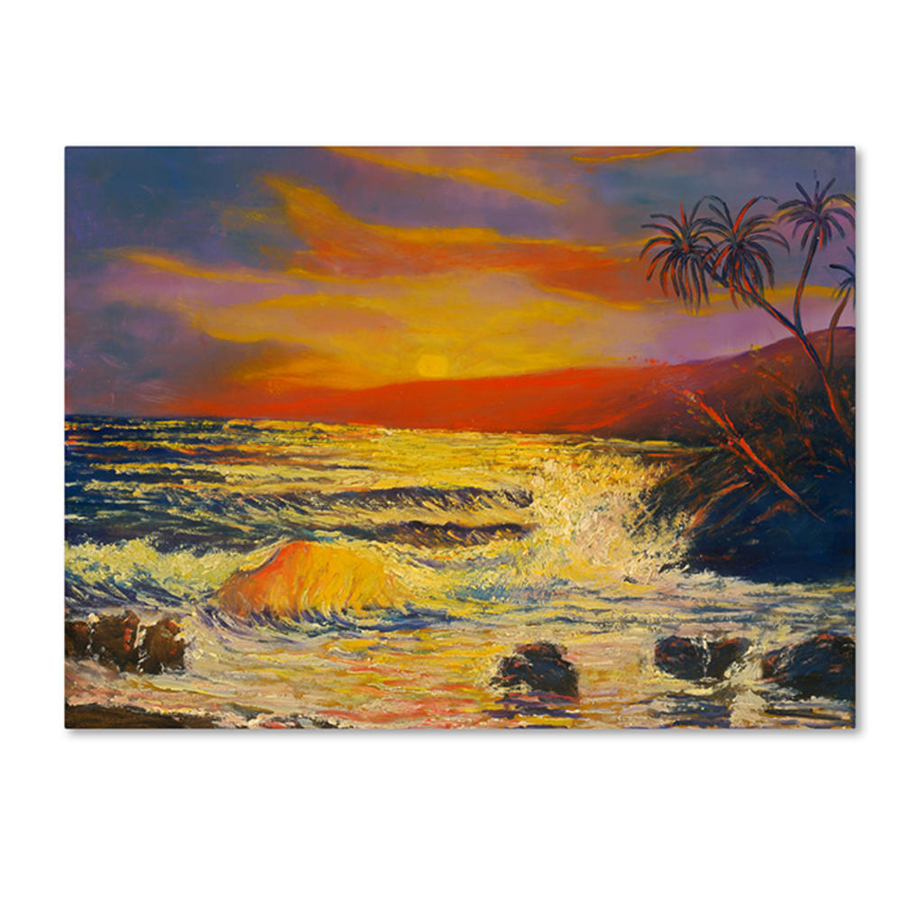 Trademark Global Manor Shadian Maui Sunset 14 x 19 Canvas Art