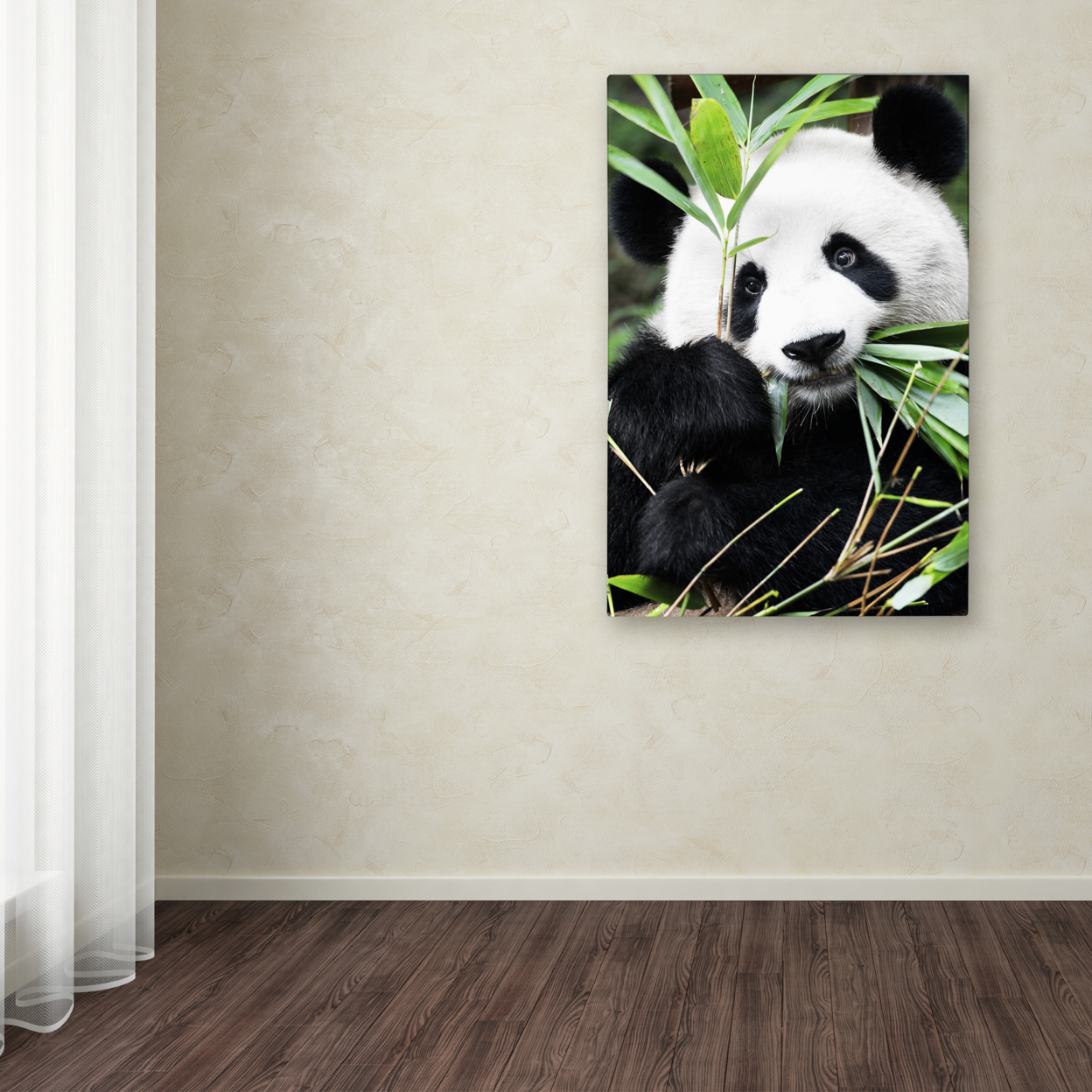 Trademark Global Philippe Hugonnard Giant Panda I Canvas Art 16 x 24