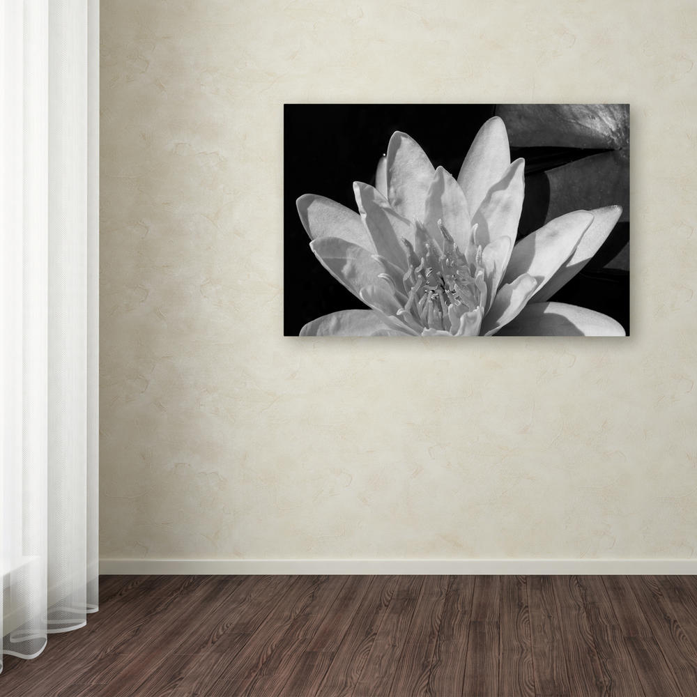 Trademark Global Kurt Shaffer Water Lily in Black and White Canvas Art 16 x 24