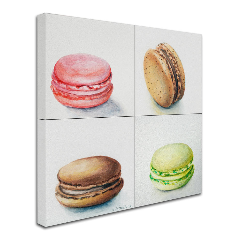 Trademark Global Jennifer Redstreake 4 Macarons Huge Canvas Art 35 x 35