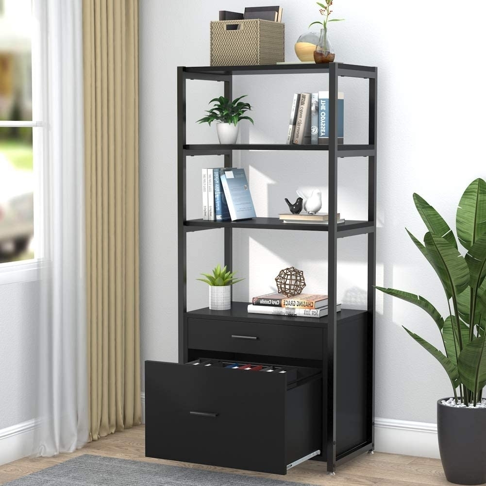 Tribesigns Bookcase Bookshelf, 4-Tier Modern File Cabinet with 2 Drawers, Lateral Filing Cabinet