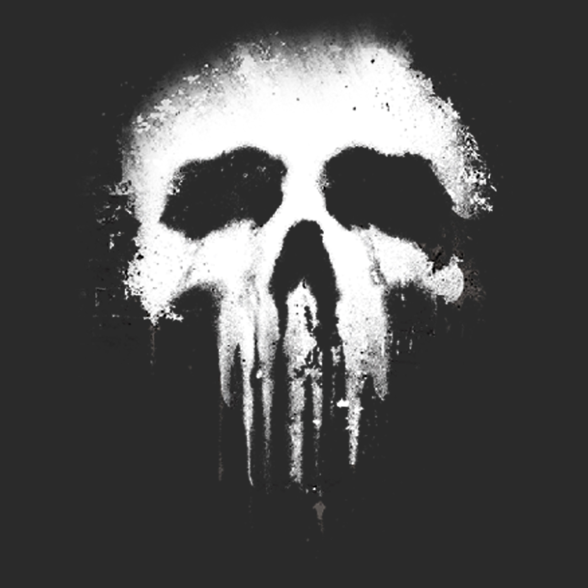 Marvel Men's Marvel Punisher Skull Logo  Pull Over Hoodie