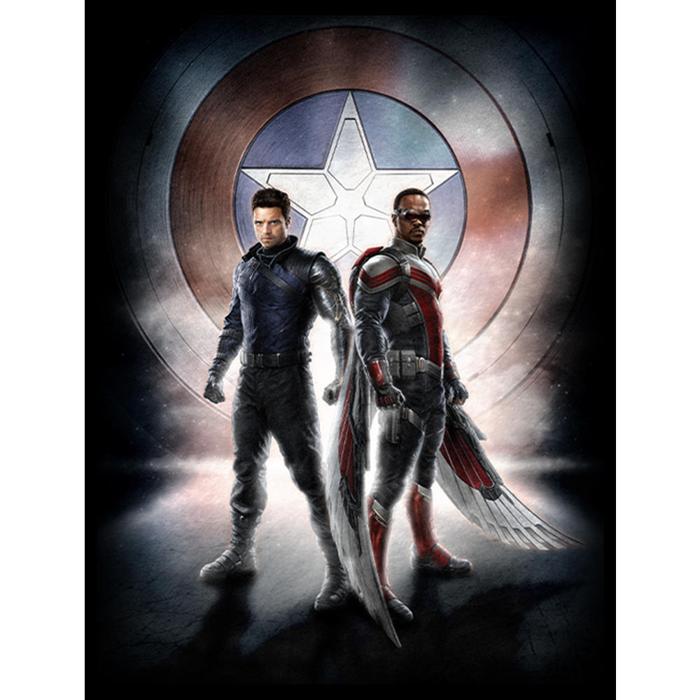 Marvel Men's Marvel The Falcon and the Winter Soldier Team Poster  Graphic T-Shirt