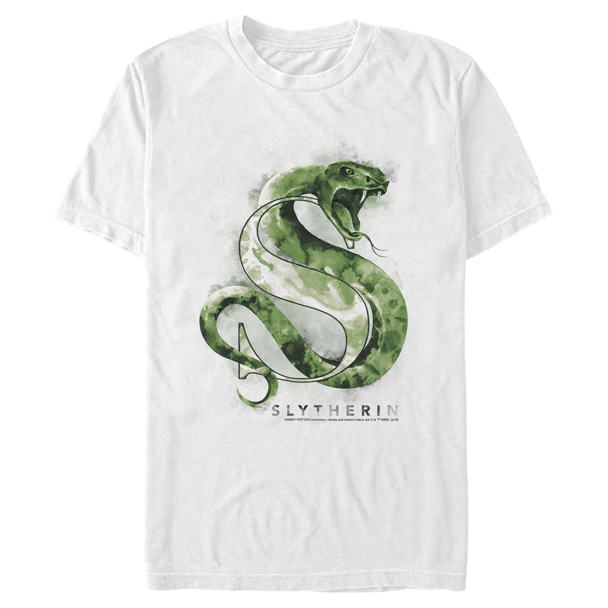 HARRY POTTER Men's Harry Potter Slytherin Snake Watercolor  Graphic T-Shirt