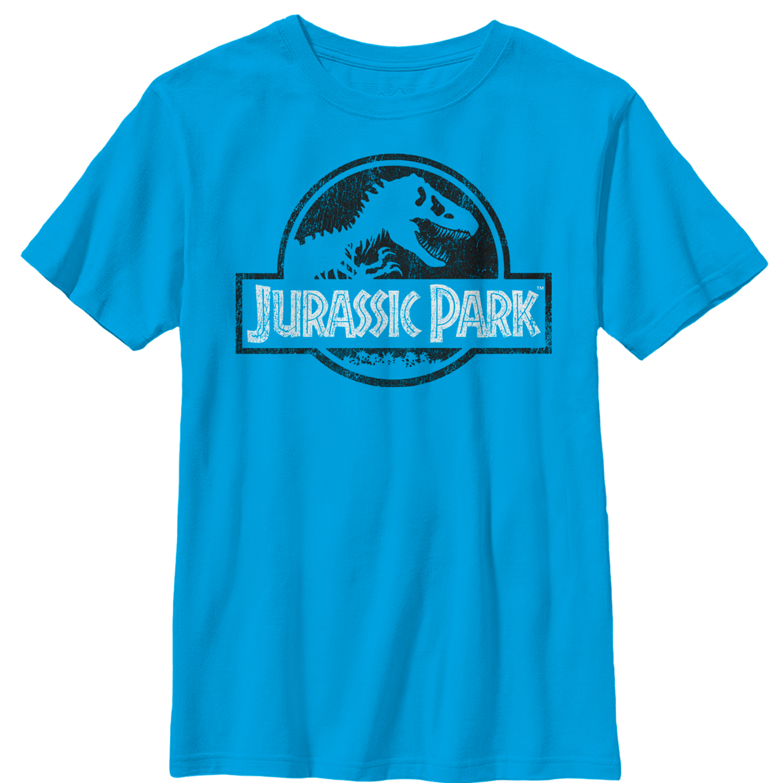 Jurassic Park Boy's Jurassic Park Vintage Black and White Logo  Graphic Tee