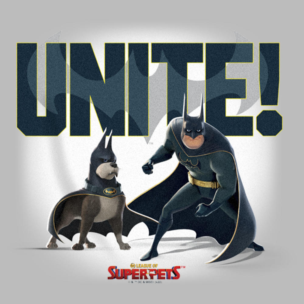 DC League of Super-Pets Boy's DC League of Super-Pets Batman and Ace Unite  Pull Over Hoodie