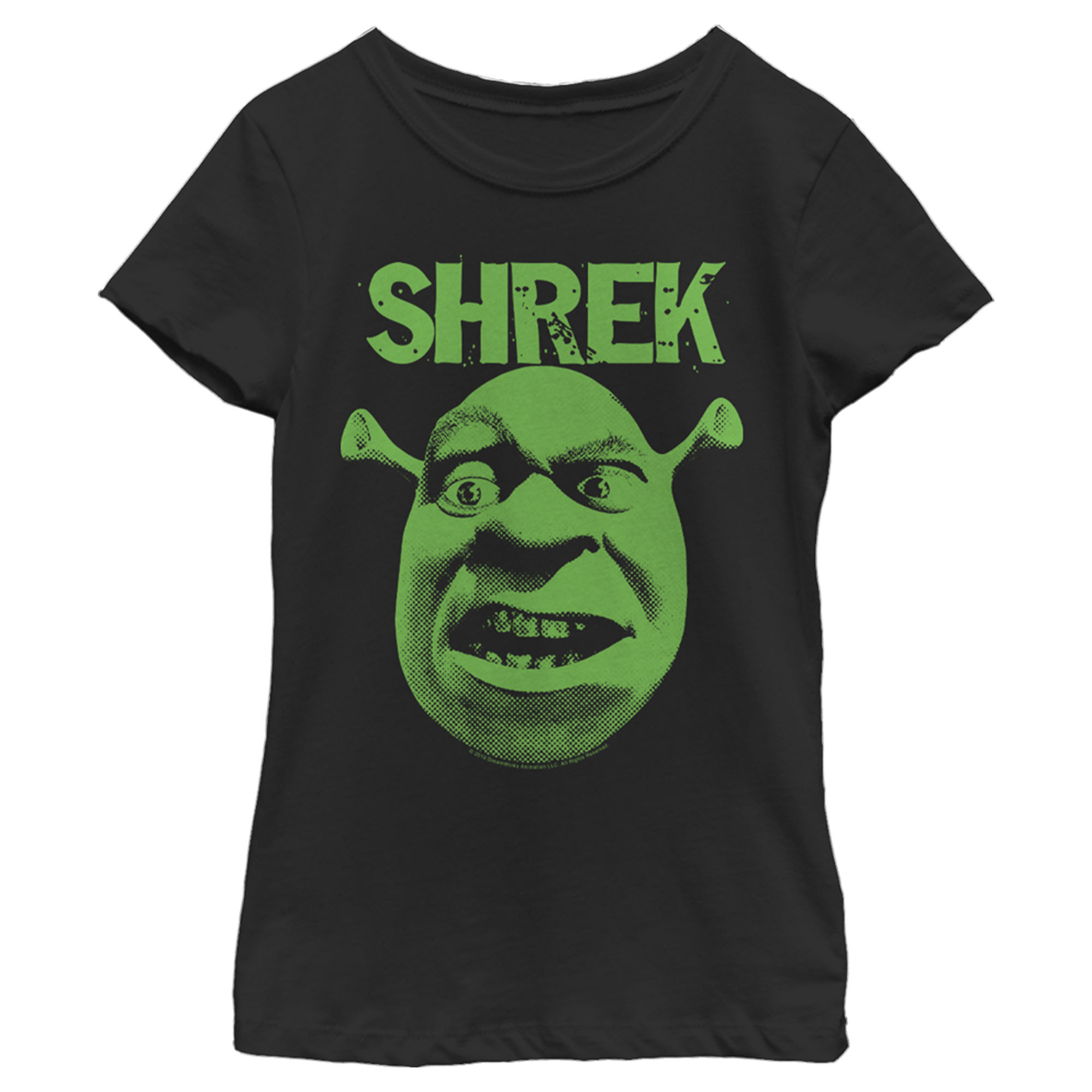 Shrek Girl's Shrek Big Face Eyebrow Raised  Graphic T-Shirt