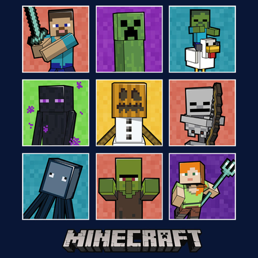 Minecraft Boy's Minecraft Character Boxes  Graphic T-Shirt