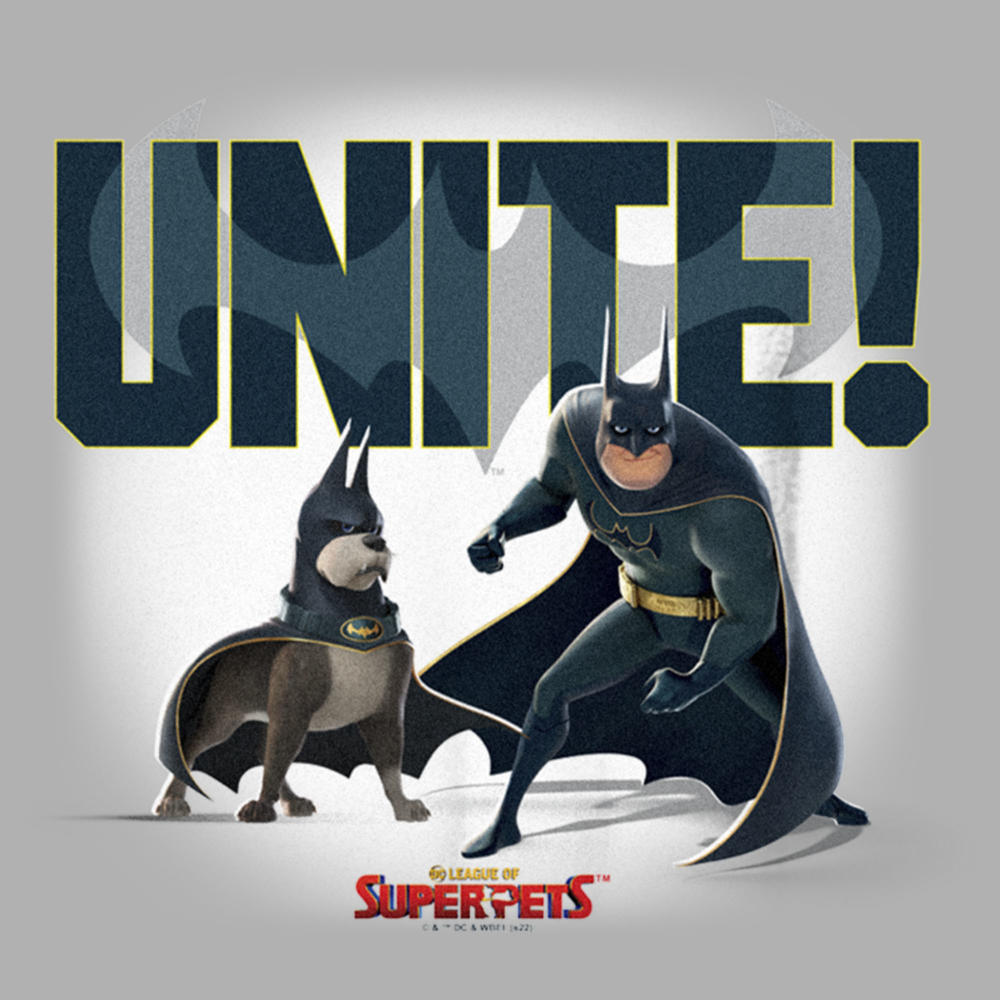DC League of Super-Pets Boy's DC League of Super-Pets Batman and Ace Unite  Graphic Tee
