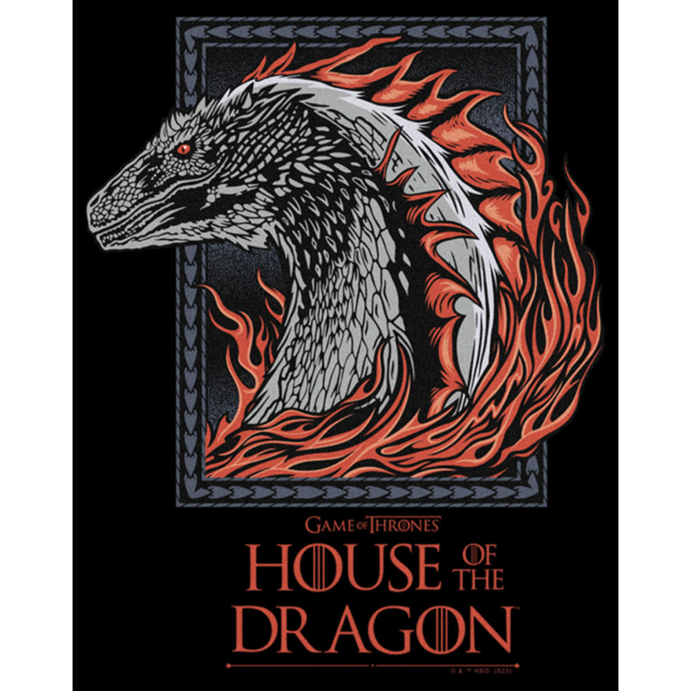 Game of Thrones: House of the Dragon Women's Game of Thrones: House of the Dragon Fire Dragon Portrait  Graphic Tee
