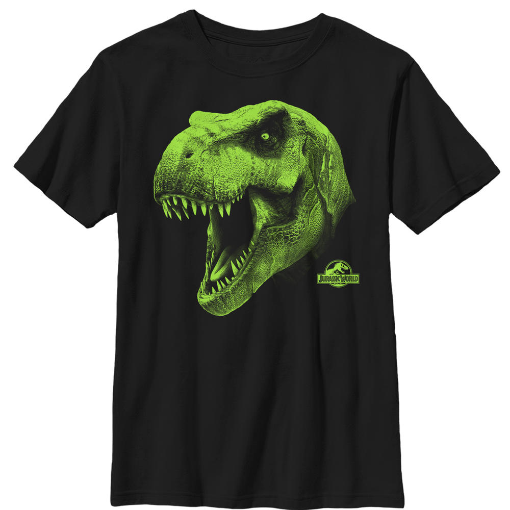 Universal Studios Boy's Jurassic World T. Rex Roar  Graphic Tee