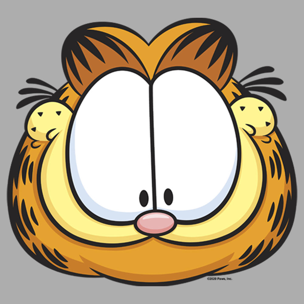 Garfield Boy's Garfield Character Big Face  Graphic T-Shirt