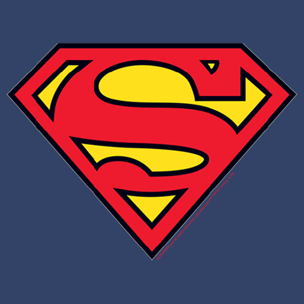 DC Comics Boy's Superman Classic Logo  Pull Over Hoodie
