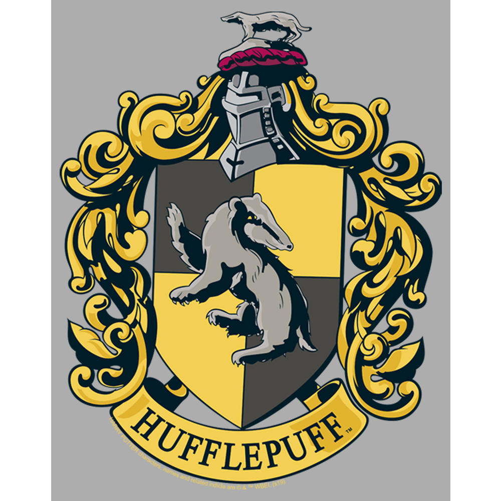 HARRY POTTER Boy's Harry Potter Hufflepuff Gold Crest  Graphic T-Shirt