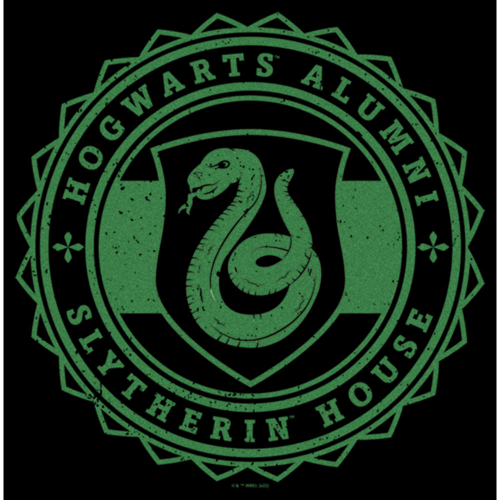 HARRY POTTER Men's Harry Potter Hogwarts Alumni Slytherin House Graphic ...