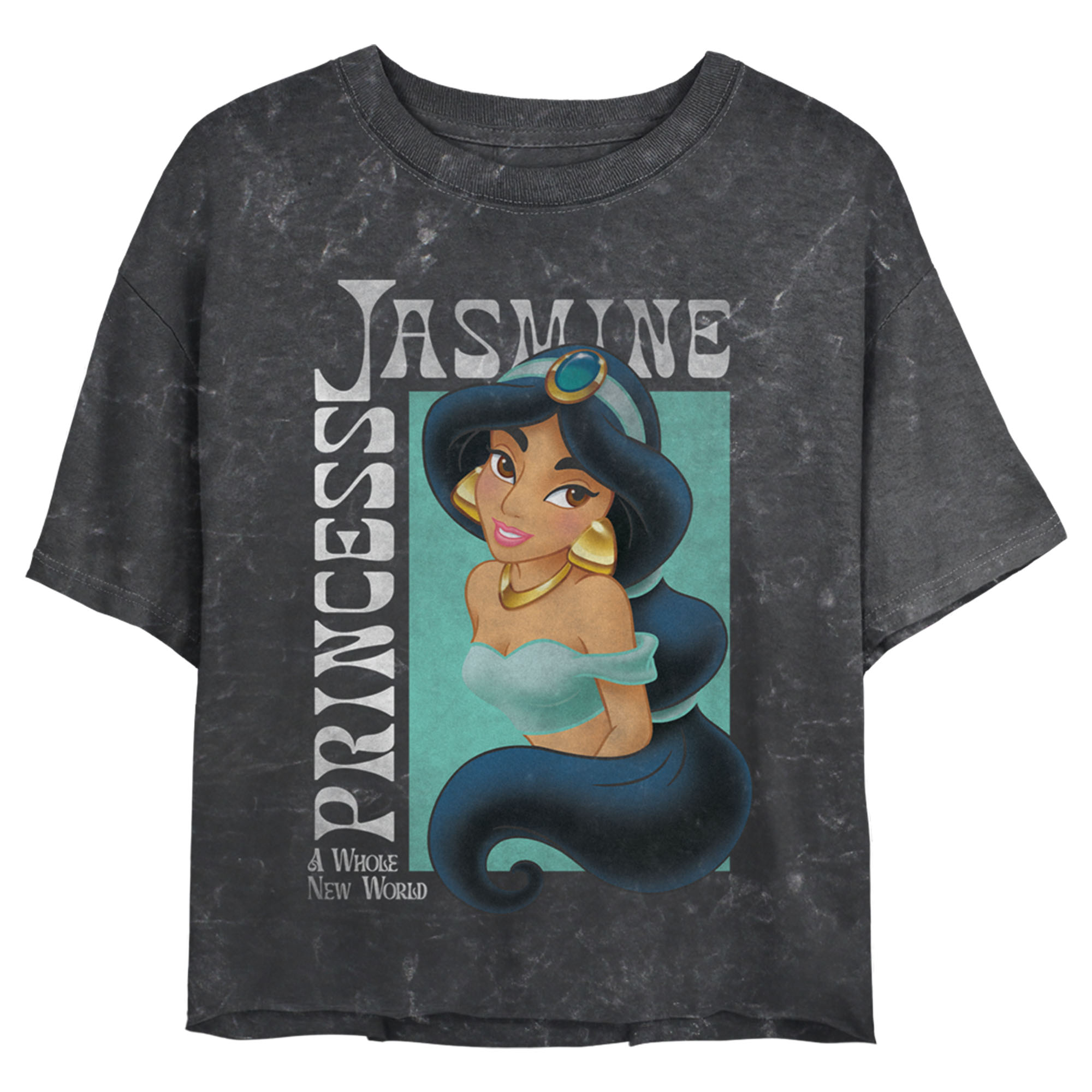 Aladdin Junior's Aladdin Princess Jasmine A Whole New World Poster  Graphic Tee