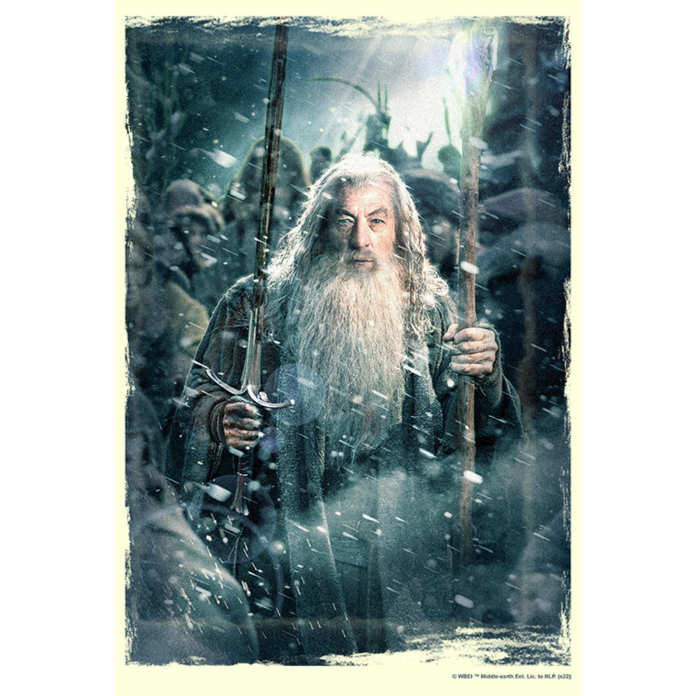 Lord of the Rings Men's The Hobbit: The Battle of the Five Armies Gandalf Poster  Graphic T-Shirt