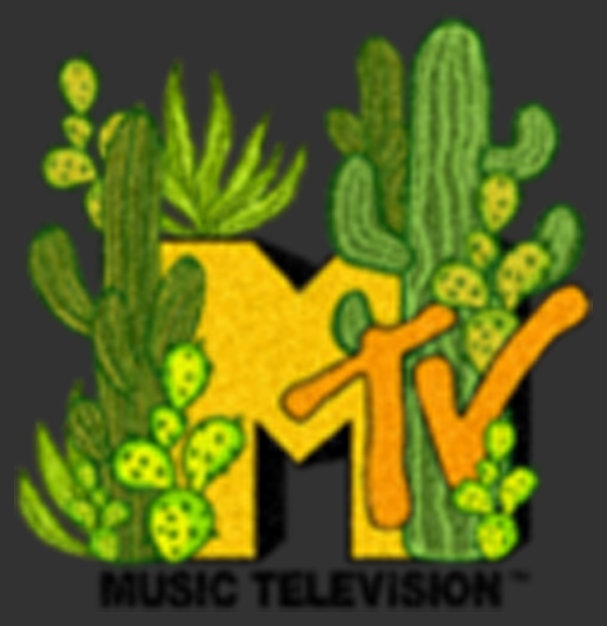 MTV Men's MTV Cacti Logo  Jogger Sweatpants