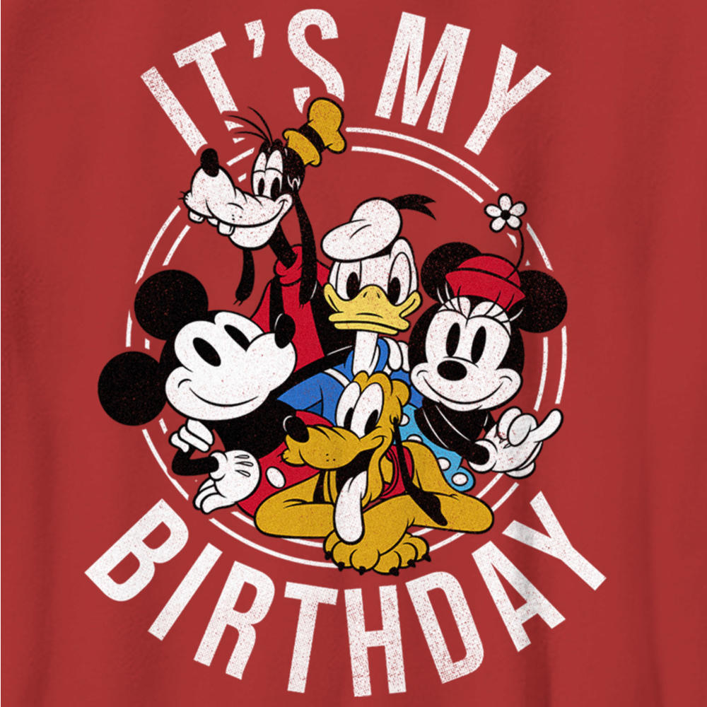 Mickey & Friends Boy's Mickey & Friends It's My Birthday Group Shot  Graphic T-Shirt