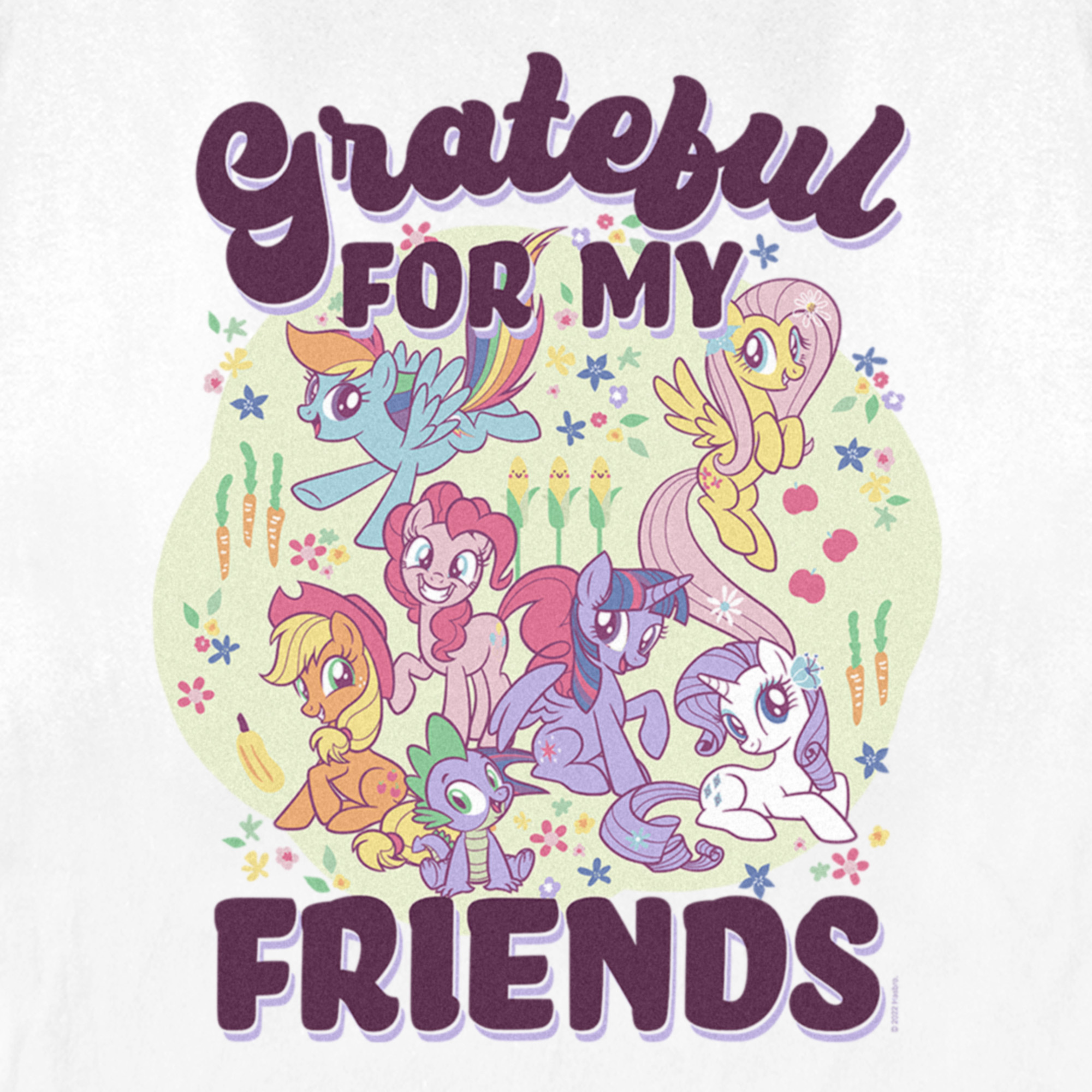 My Little Pony: Friendship is Magic Women's My Little Pony: Friendship is Magic Grateful for my Friends  Graphic T-Shirt