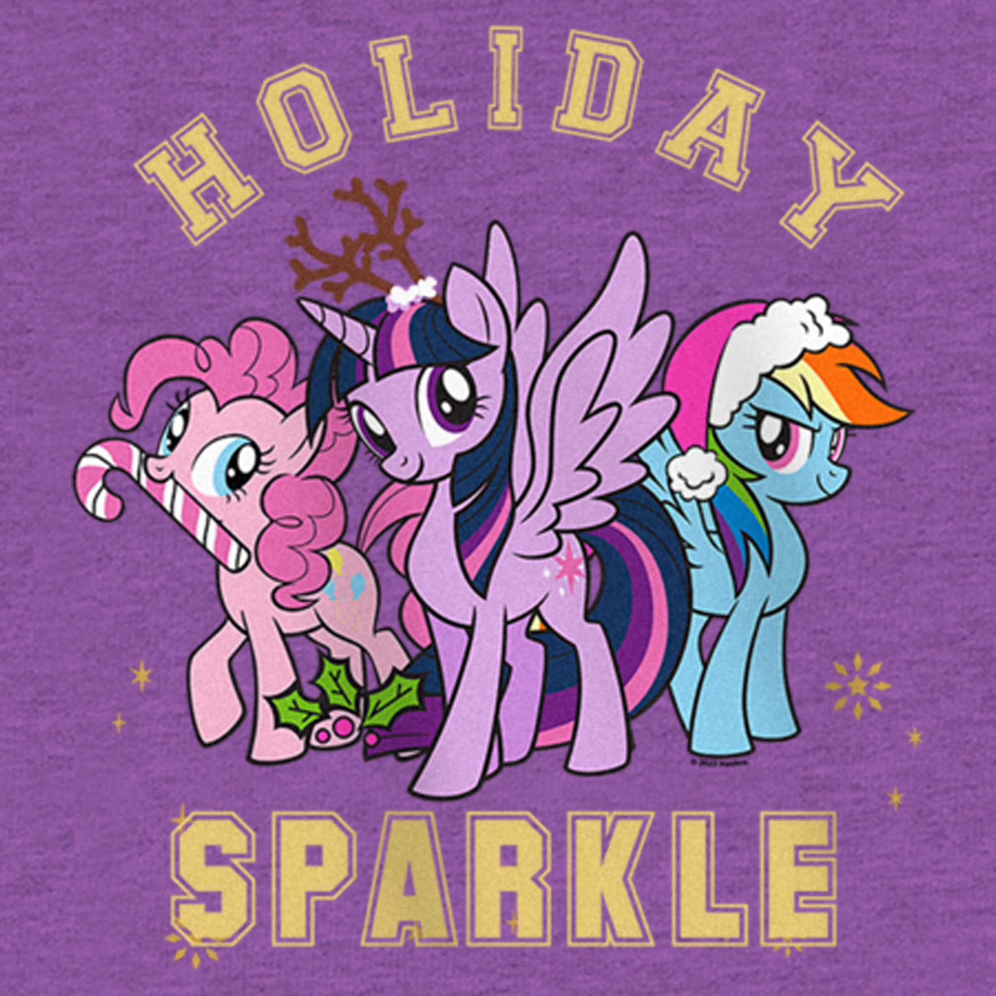 My Little Pony: Friendship is Magic Girl's My Little Pony: Friendship is Magic Holiday Sparkle  Graphic T-Shirt