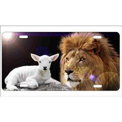 Martin Florida Sunshine Decorative License Plates Cool Car Auto